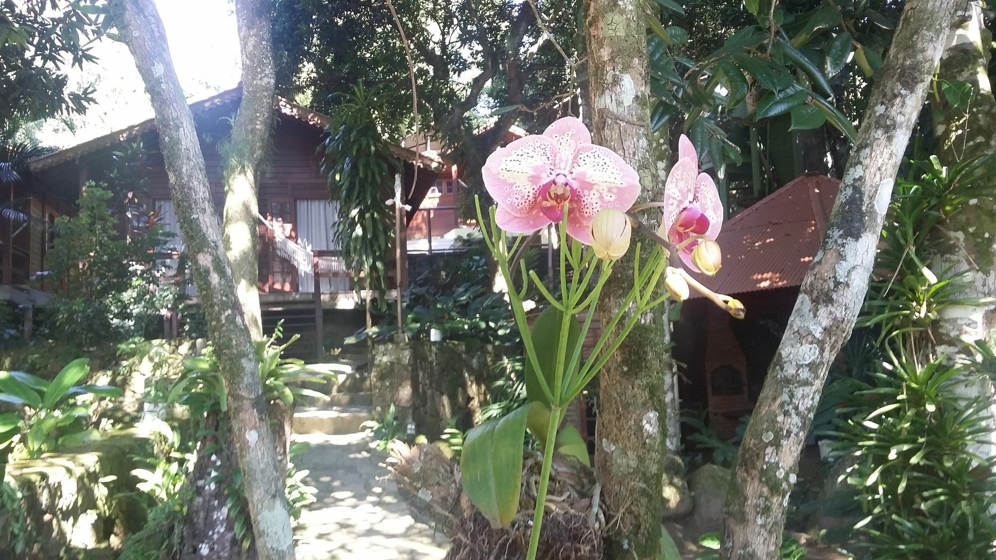 Pousada Mata Nativa Abraão Exterior foto